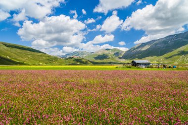 Piano Grande mountain plateau, Umbria, Italy clipart