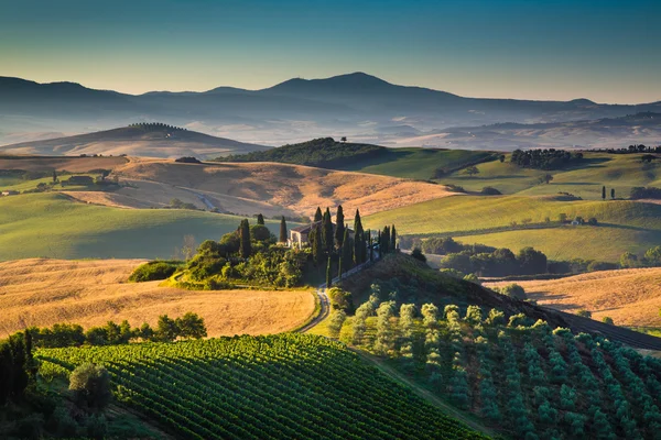 Doğal Tuscany manzaraya gündoğumu, Val d'Orcia, İtalya