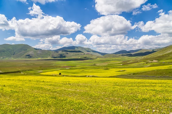 Paisaje de verano en la meseta de Piano Grande, Umbría, Italia — Foto de Stock