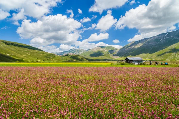 Piano Grande Bergplateau, Umbrien, Italien — Stockfoto