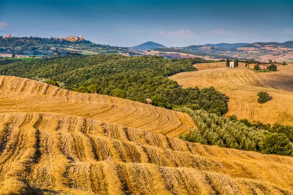 Paisaje en Toscana con colinas onduladas al atardecer, Val d 'Orcia, Italia —  Fotos de Stock