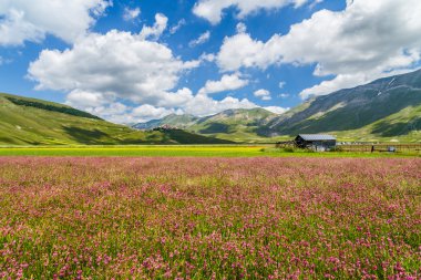 Piyano Grande Dağı Platosu, Umbria, İtalya