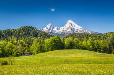 Pastoral manzara Bavyera Alpleri'nde Berchtesgaden, Almanya