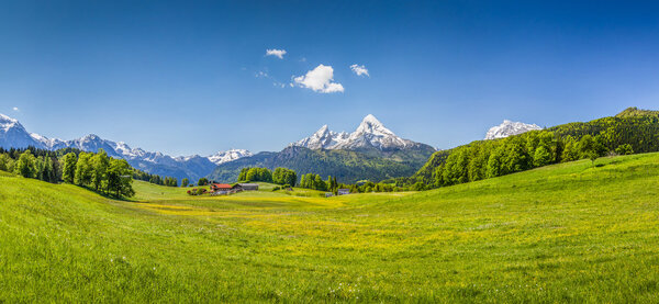 Idyllic summer landscape in the Alps