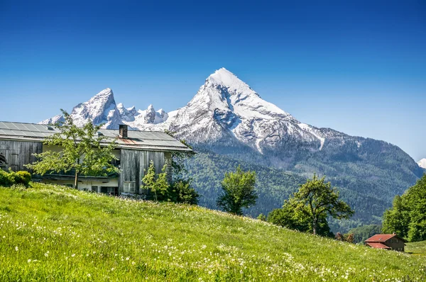 Idyllic summer landscape with traditional farm house in the Alps — Stock Photo, Image