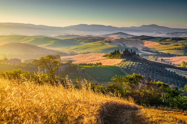 Paisagem cênica da Toscana ao nascer do sol, Val d 'Orcia, Itália — Fotografia de Stock