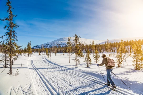 Toeristische langlaufen in Scandinavië bij zonsondergang — Stockfoto