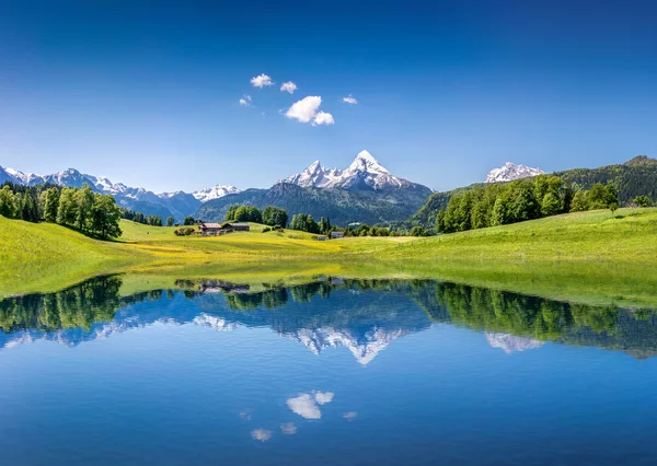 Paisaje idílico de verano con lago claro de montaña en los Alpes — Foto de Stock