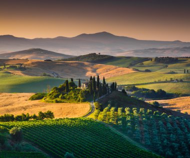 Scenic Tuscany landscape with rolling hills and valleys at sunset, Val d'Orcia, Italy clipart