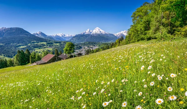 Bellissimo paesaggio montano nelle Alpi con freschi pascoli verdi in primavera — Foto Stock