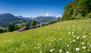 Panoramik güzel çiçekler ile Bavyera Alpleri'nde güzel manzara ve arka planda ilkbahar, Nationalpark Berchtesgadener Land, Bavyera, Almanya ünlü Watzmann dağda