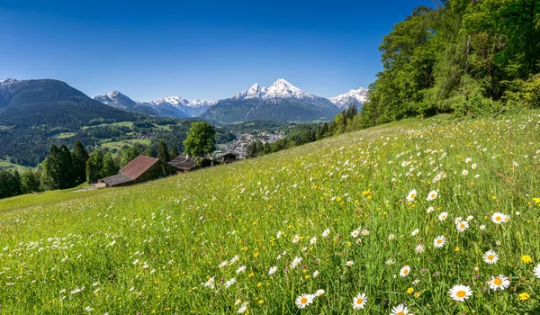 Vista panorámica del hermoso paisaje en los Alpes bávaros con hermosas flores y la famosa montaña Watzmann en el fondo en primavera, Nationalpark Berchtesgadener Land, Baviera, Alemania —  Fotos de Stock