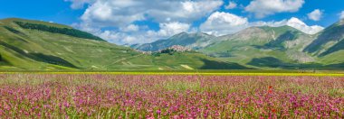 Piyano Grande yaz manzara, Umbria, İtalya