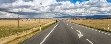 Dramatic road to Segovia and beautiful landscape with cattle and dark clouds, Castilla y Leon region, Spain