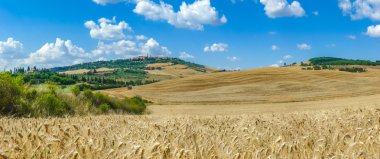 Tuscany yatay, kasaba, Pienza, Val d'Orcia, İtalya
