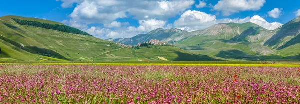 Paisagem de verão de Piano Grande, Úmbria, Itália — Fotografia de Stock