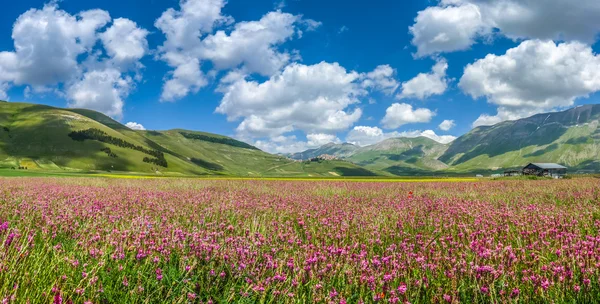 Piano Grande sommar landskap, Umbrien, Italien — Stockfoto