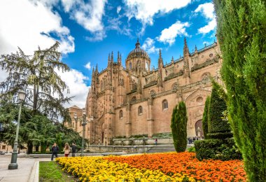 Beautiful view of Cathedral of Salamanca, Castilla y Leon region, Spain clipart