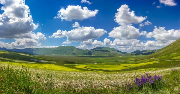 Летний пейзаж Piano Grande, Умбрия, Италия — стоковое фото