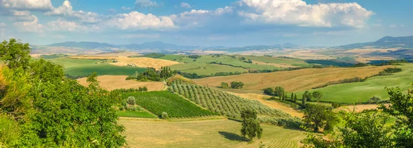 Paisagem cênica da Toscana ao pôr-do-sol, Val d 'Orcia, Itália — Fotografia de Stock