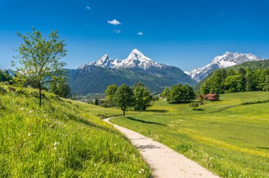 Idyllic spring landscape in the Alps with meadows and flowers, Bavaria, Germany