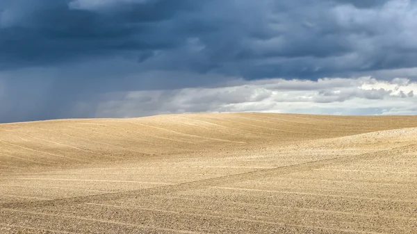 Summer landscape with dramatic thunderclouds in the background — Stock Photo, Image