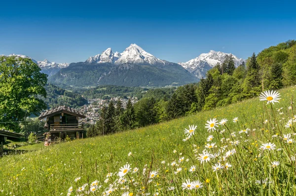 Alpes bávaros com belas flores e Watzmann na primavera, Baviera, Alemanha — Fotografia de Stock