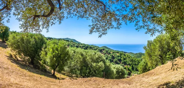 Gyönyörű tengerparti táj, a Cilentan partján, Campania, Olaszország — Stock Fotó