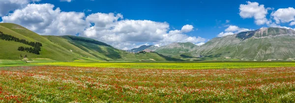 Piano Grande Ete Paysage Images Libres De Droit Photos De Piano Grande Ete Paysage Depositphotos
