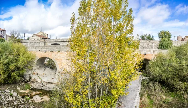 Historic roman bridge in Avila, Castilla y Leon, Spain — 图库照片