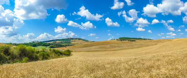 Tuscany landscape with the town of Pienza, Val d'Orcia, Italy