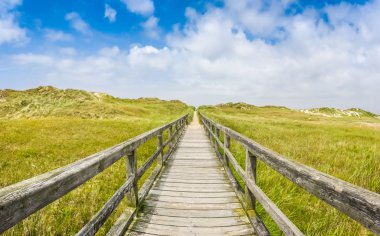 Avrupa Kuzey Denizi dune beach manzara pastoral ahşap yolunda
