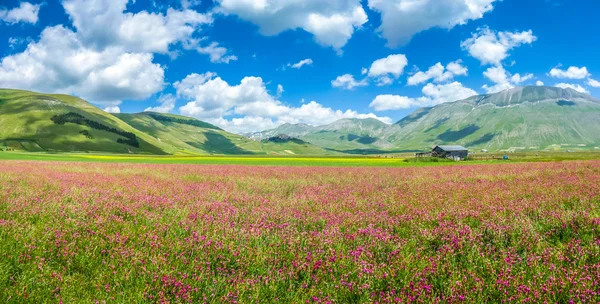 Piano grande sommerlandschaft, umbrien, italien — Stockfoto