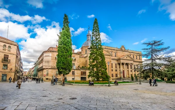 Salamanca tarihi şehir Castilla y Leon bölgesi, İspanya