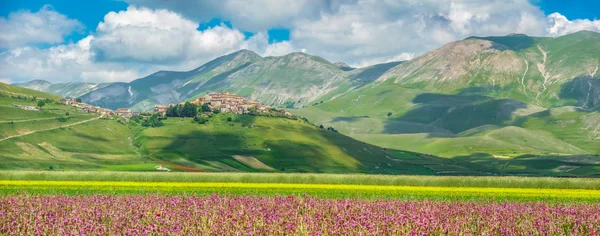 Piano Grande summer landscape, Umbría, Italia — Foto de Stock