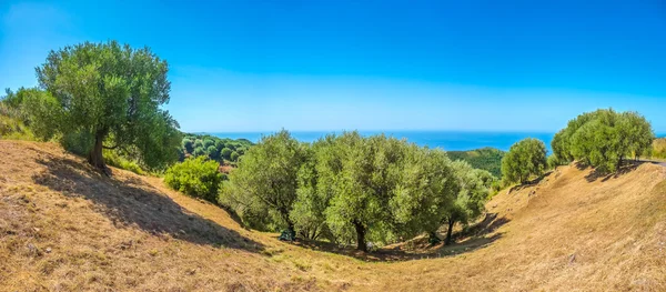 Bellissimo paesaggio costiero sulla costa cilentana, Campania, Italia — Foto Stock