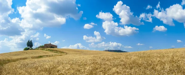 Lanskap Tuscany dengan kota Pienza, Val d 'Orcia, Italia — Stok Foto