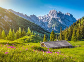 idyllische Landschaft in den Alpen mit traditioneller Berghütte im Frühling