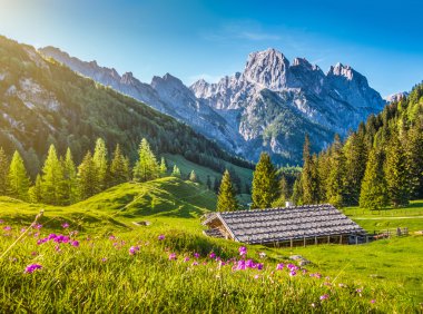 Idyllic landscape in the Alps with traditional mountain chalet in springtime