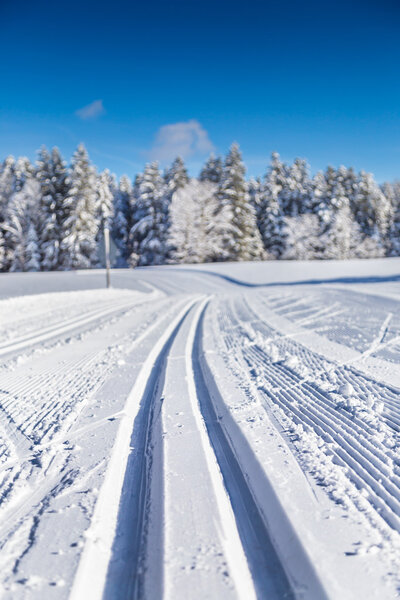 Cross-country skiing track in winter landscape