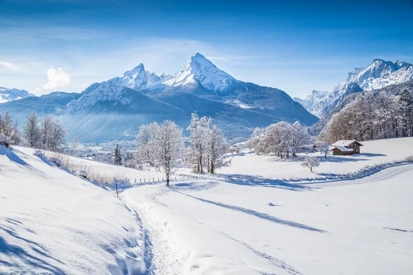 Winter wonderland with trail in the Alps — стокове фото