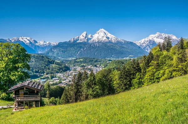 Alpy Bawarskie z pięknymi kwiatami i Watzmann w wiosenny, Bavaria, Niemcy — Zdjęcie stockowe