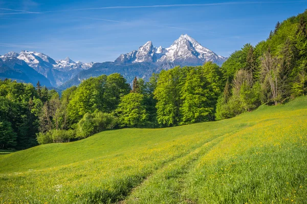 Paisagem idílica nos Alpes com caminho para caminhadas e montanhas — Fotografia de Stock