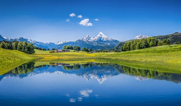 Ідилічному літній краєвид з зніміть гірське озеро в Альпах Стокове Зображення