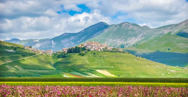 Güzel yaz ile ünlü Castelluccio di Norcia yatay, Umbria, İtalya — Stok fotoğraf