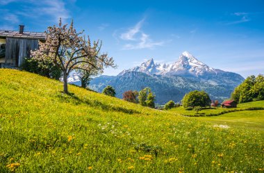 Yeşil çayırlar, çiftlik ve karlı dağ başında, pastoral Alp yatay