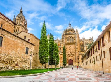 Cathedral of Salamanca, Castilla y Leon, Spain clipart