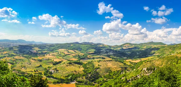 Vacker utsikt över böljande kullar, vingårdar och ängar, Umbrien, Italien — Stockfoto