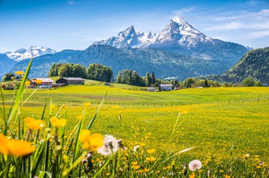 Idyllic alpine landscape with green meadows, farmhouses and snowcapped mountain tops clipart