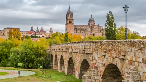 Krásný pohled Salamanca s římský most a katedrála, Španělsko — Stock fotografie